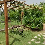 Bed & Breakfast Sole Mio 3*