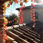 Sole Mio Bed & Breakfast 3*