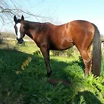 Sole Mio