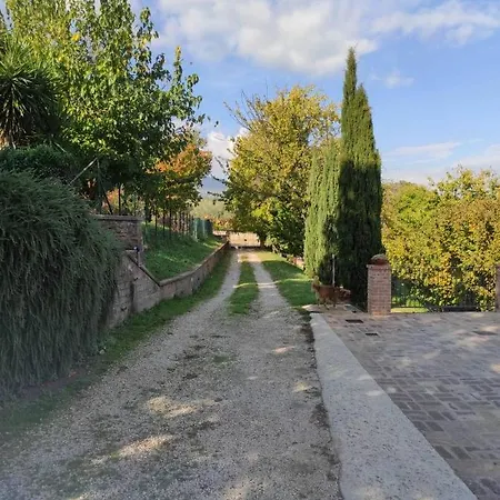 Sole Mio Bed & Breakfast