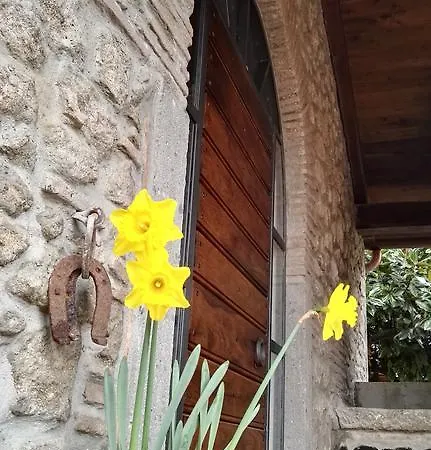 Sole Mio 3*