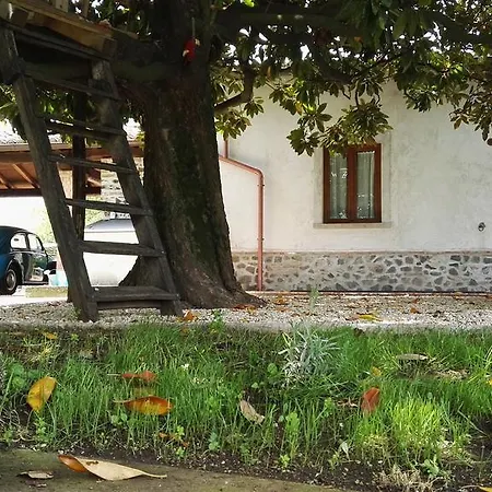 Bed & Breakfast Sole Mio Velletri