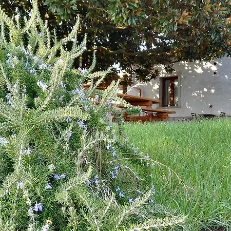 Sole Mio Bed & Breakfast Velletri
