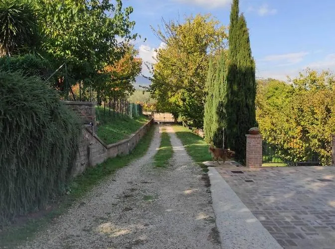 Sole Mio Bed and Breakfast