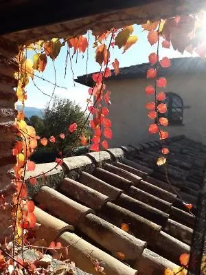 Sole Mio Bed and Breakfast 3*