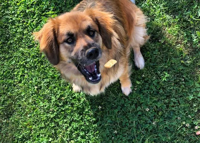 Bed and Breakfast Sole Mio