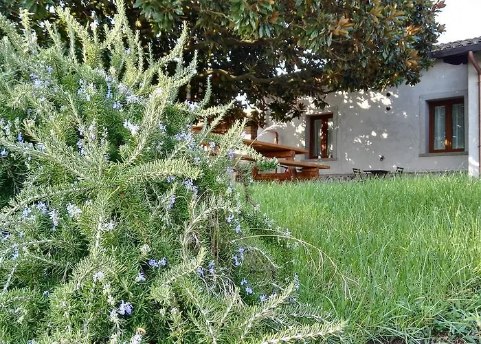 Sole Mio Bed and Breakfast Velletri